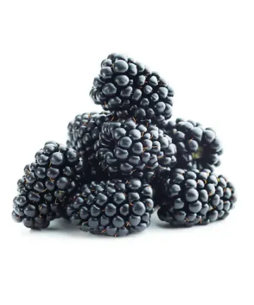 علبة توت أسود 125 جرام