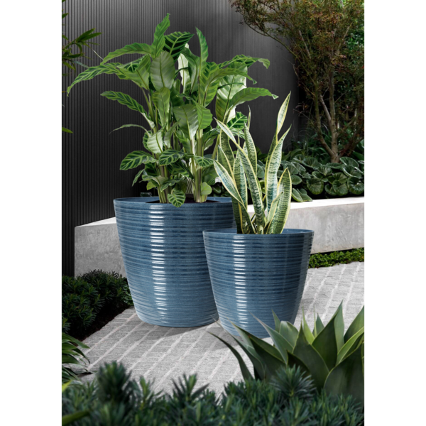 webimage-2BAD926F-E031-40C1-A8BC6FF749BBCB90