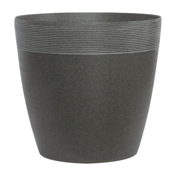 webimage-DF69E40C-652A-4912-880267D23627B372